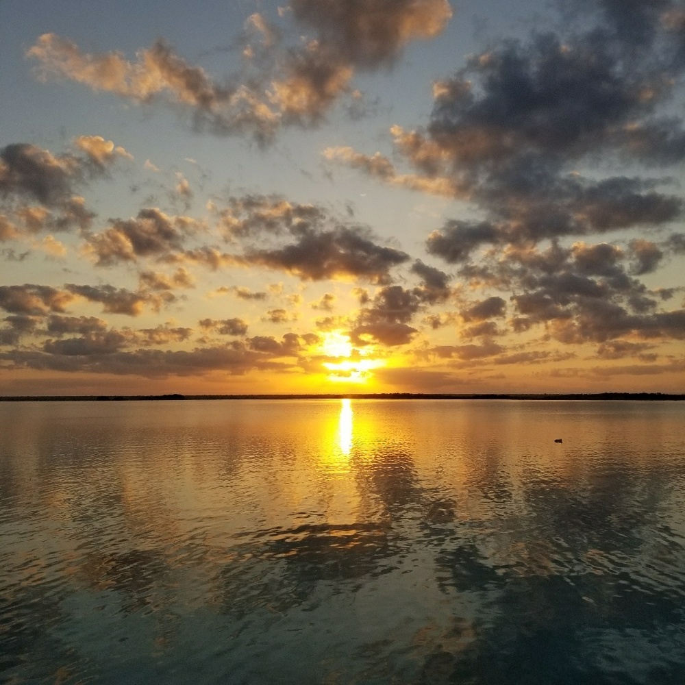 Meet your Posher, Emily!